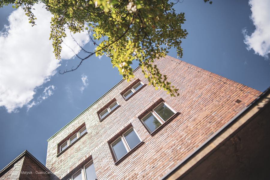 Backsteinfassade von unten mit überhängendem Blätterzweig vor blauem Himmel